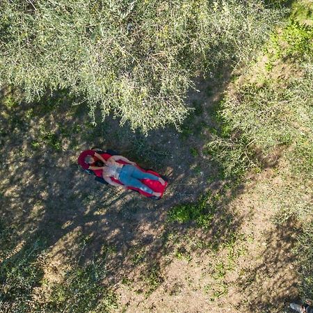 Appartamenti Arco Antico サン・バルトロメーオ・アル・マーレ エクステリア 写真